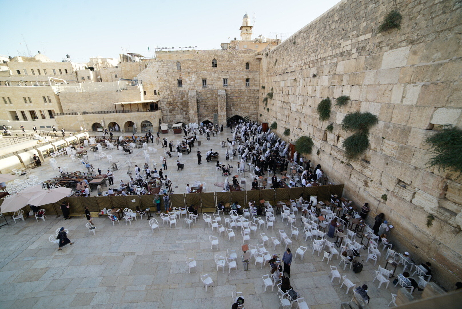 Grafted Into Israel's Story